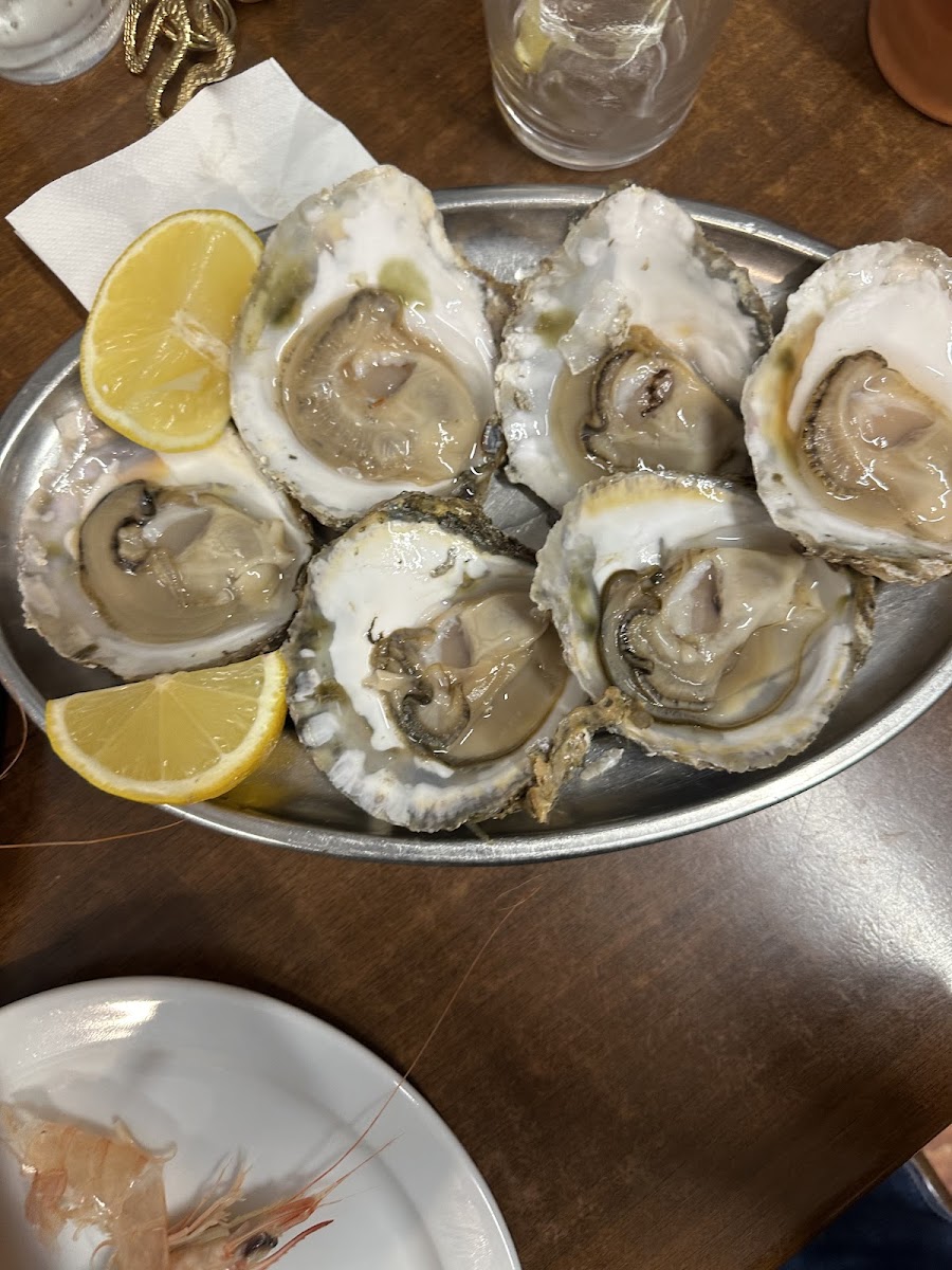Ostra fresca